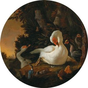 A Mute Swan by Abraham Bisschop Dordrecht