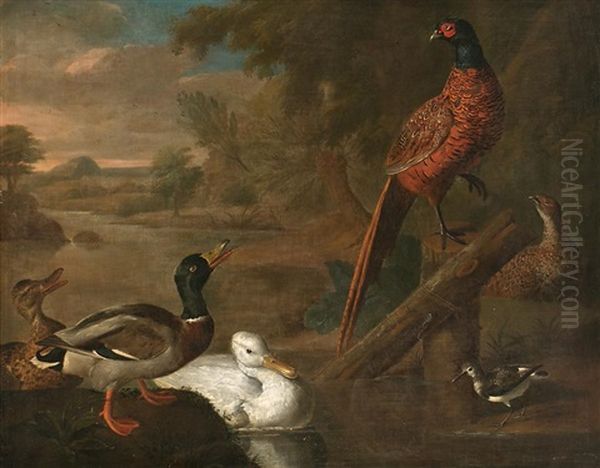 Aves En Un Paisaje - view 1