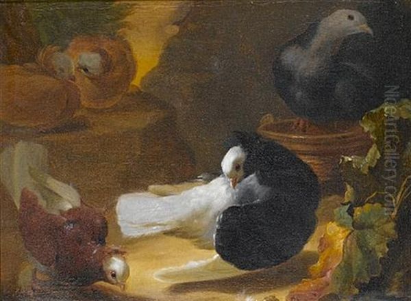 A Forest Floor With Doves - view 1