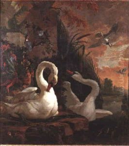 A Mute Swan Preening Itself On The Edge Of A Pond, Whilst Its Companion Regards A Kingfisher Perched On A Bough Above