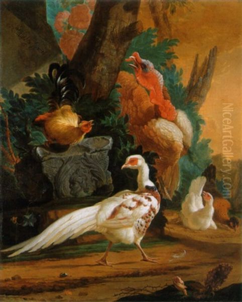 A White Pheasant A Turkey And Poultry In A Landscape - view 1