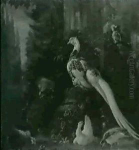 Oiseaux Exotiques Dans Un Parc