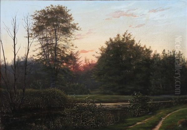 A Forest Lake At Sunrise - view 1