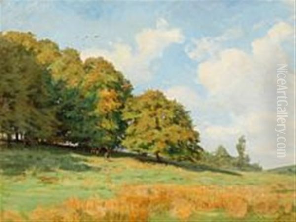 A Summer's Day From The Dyrehaven - view 1