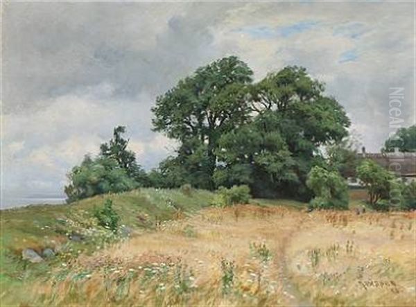 Langtved. Bramsnaes Vig - view 1
