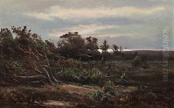 Landscape With Windswept Trees - view 1