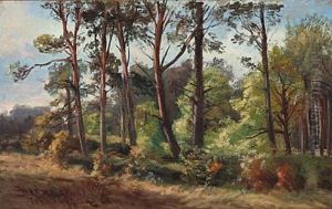 Sunny Day At Hornbaek Plantation, Denmark by Rudolf Bissen