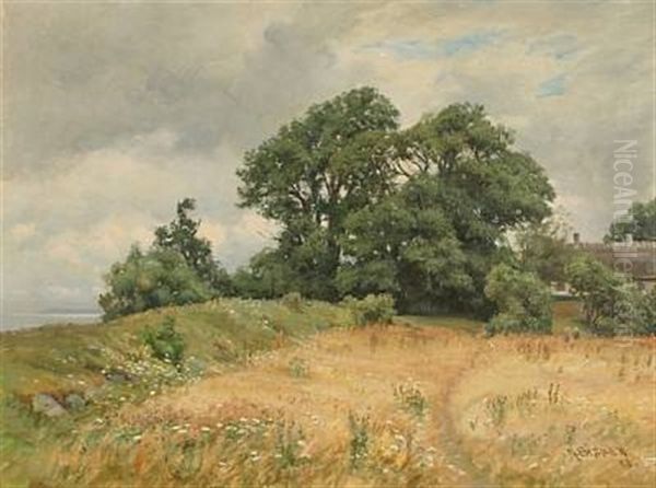 Langtved - Bramsnaes Vig (landscape From Langved At Bramsnaes Vig, Denmark) - view 1