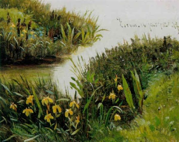 Graesser Og Blomster Ved Bredden Af Esrum So - view 1