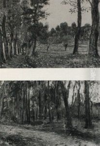 Luce Matinale: Verde Macchia Boschiva by Leonardo Bistolfi