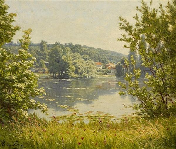 Sommerliche Flusslandschaft - view 1