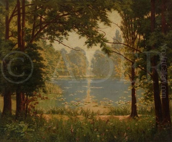 L"etang Aux Nenuphars - view 1