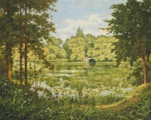 A Woodland Lake