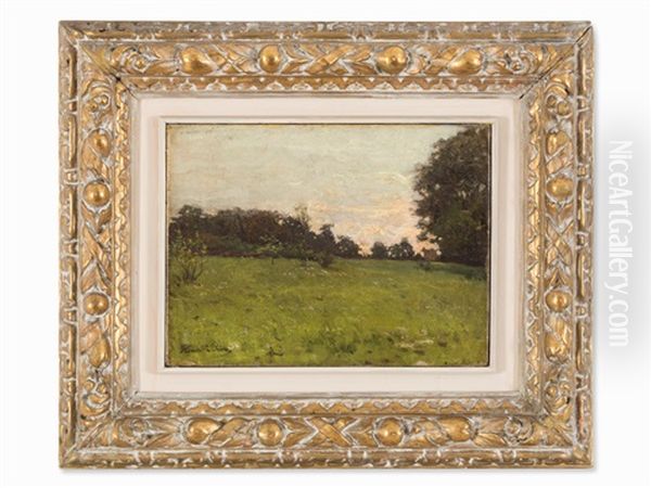 Summer Landscape - view 1