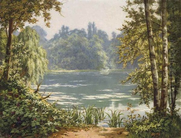 A Woodland Pond - view 1