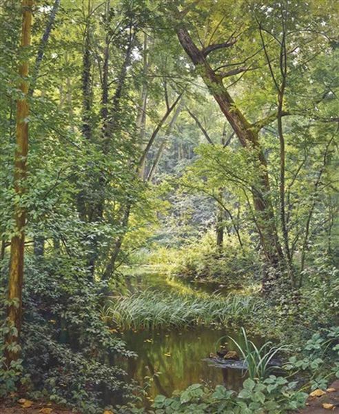 The Woodland Pool - view 1