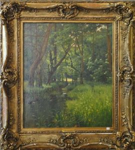 Sous-bois Avec Cascade