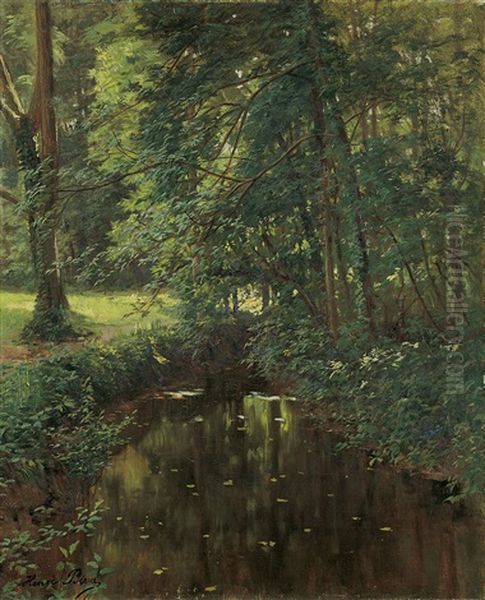 Waldwiese Mit Einem Bachlauf Oder Teich - view 1
