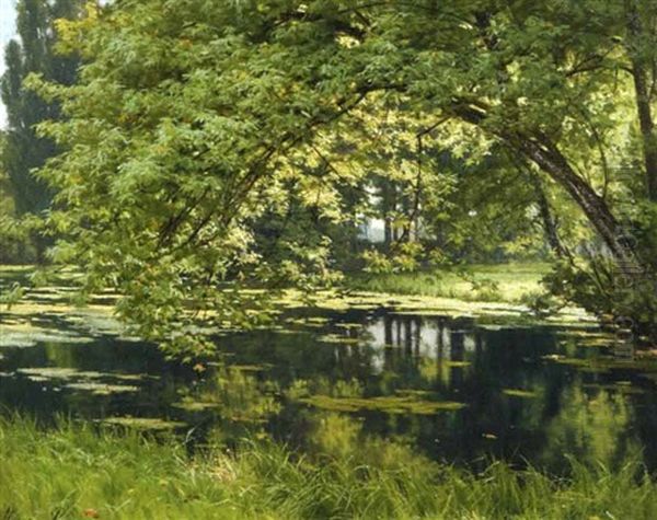 L'etang Aux Nenuphars, Effet De Lumiere - view 1