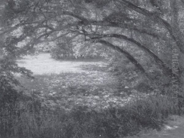Wooded Landscape - view 1