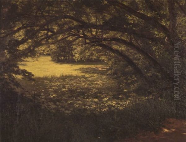 Wooded Landscape - view 1