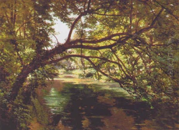 Villeneuve (l'etang) - view 1