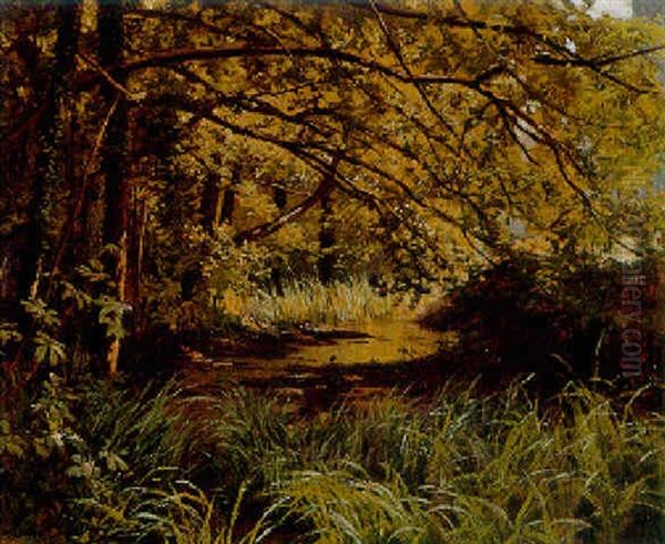 A Sunlit Wood - view 1