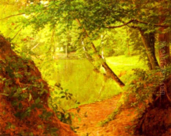 Wood Beside A Lake - view 1