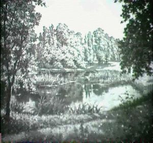 Parkland Lake Parkland Lake