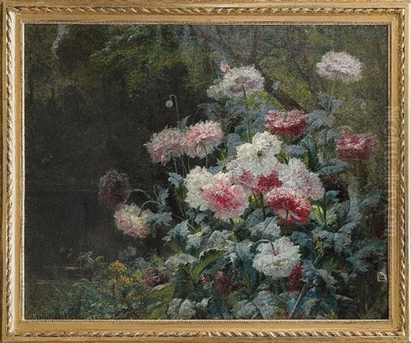 Fleurs De Pavo - view 1
