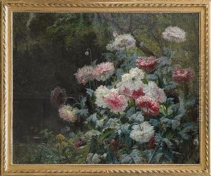 Fleurs De Pavo by Paul Biva