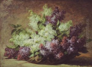 Still Life Of Wisteria Still Life Of Wisteria