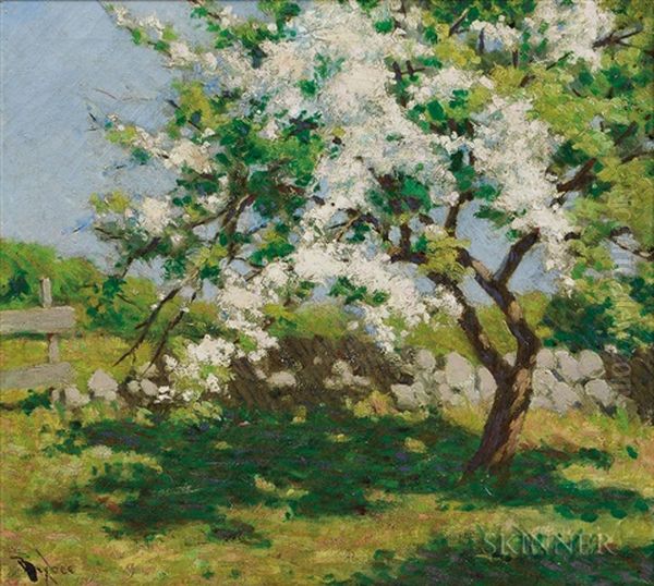 Spring Landscape With Flowering Tree - view 1