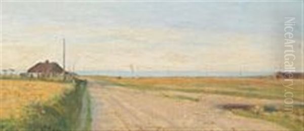 Danish Coastalscape - view 1