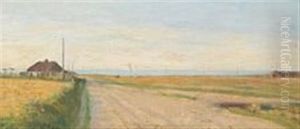 Danish Coastalscape