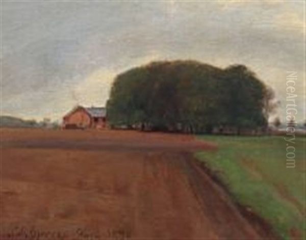 Landscape Near Soro - view 1