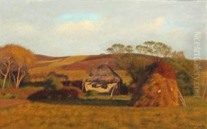 Harvest Scenery In Evening Light by Niels Bjerre