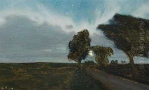 Nordlys by Niels Bjerre