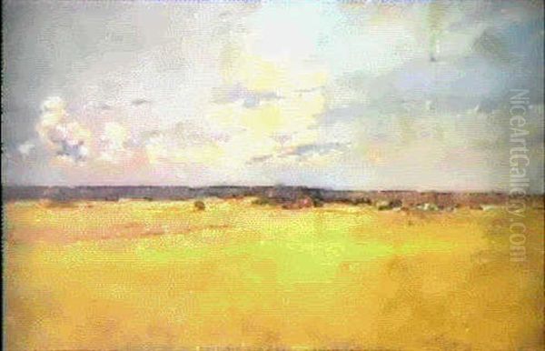 Sommarlandskap - view 1