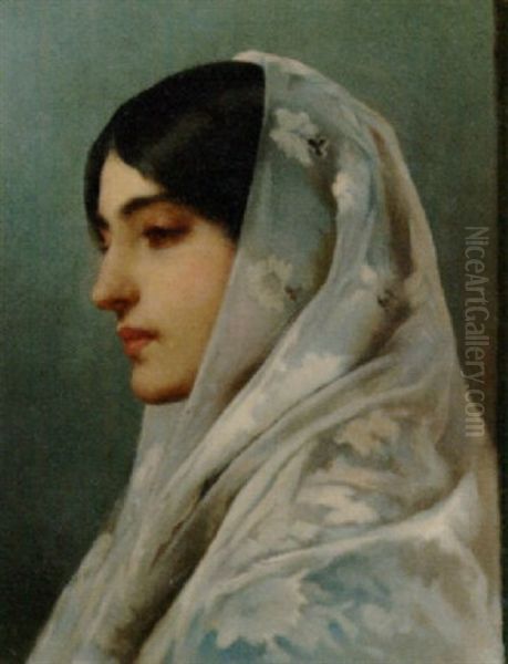 An Elegant Lady In A Chiffon Shawl - view 1