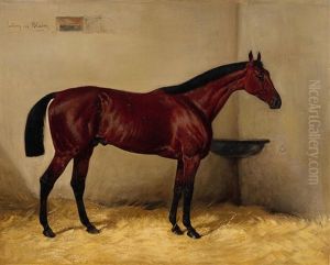 A Bay Horse In A Stable