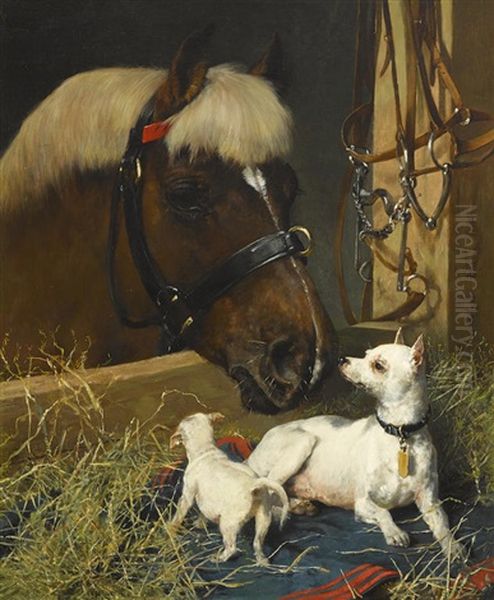 The New Stable Companion - view 1