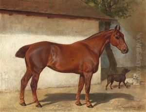 Bay By The Stable by Julius von Blaas