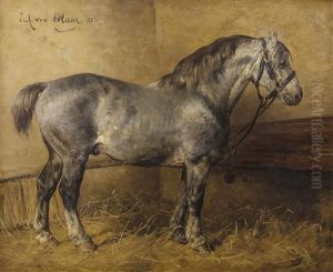 Lipizzaner Im Stall