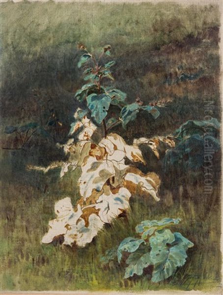Pflanzenstudie (unvollendet) - view 1