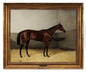 Portrait Of A Horse In A Loose Box