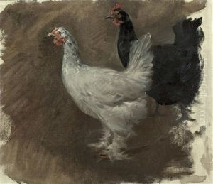 Zwei Huhner Zwei Huhner