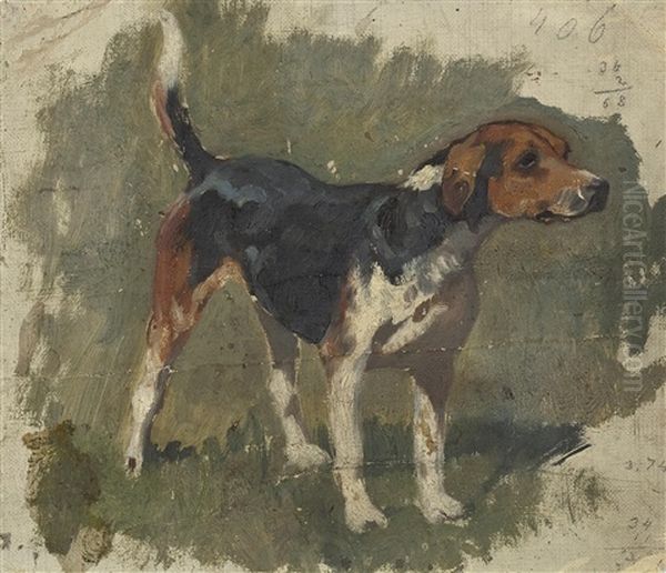 Jagdhund - view 1
