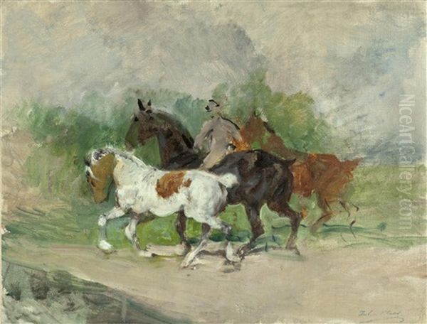 Reiter Mit Zwei Ungesattelten Beipferden - view 1