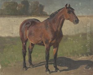 Brauner In Landschaft Brauner In Landschaft